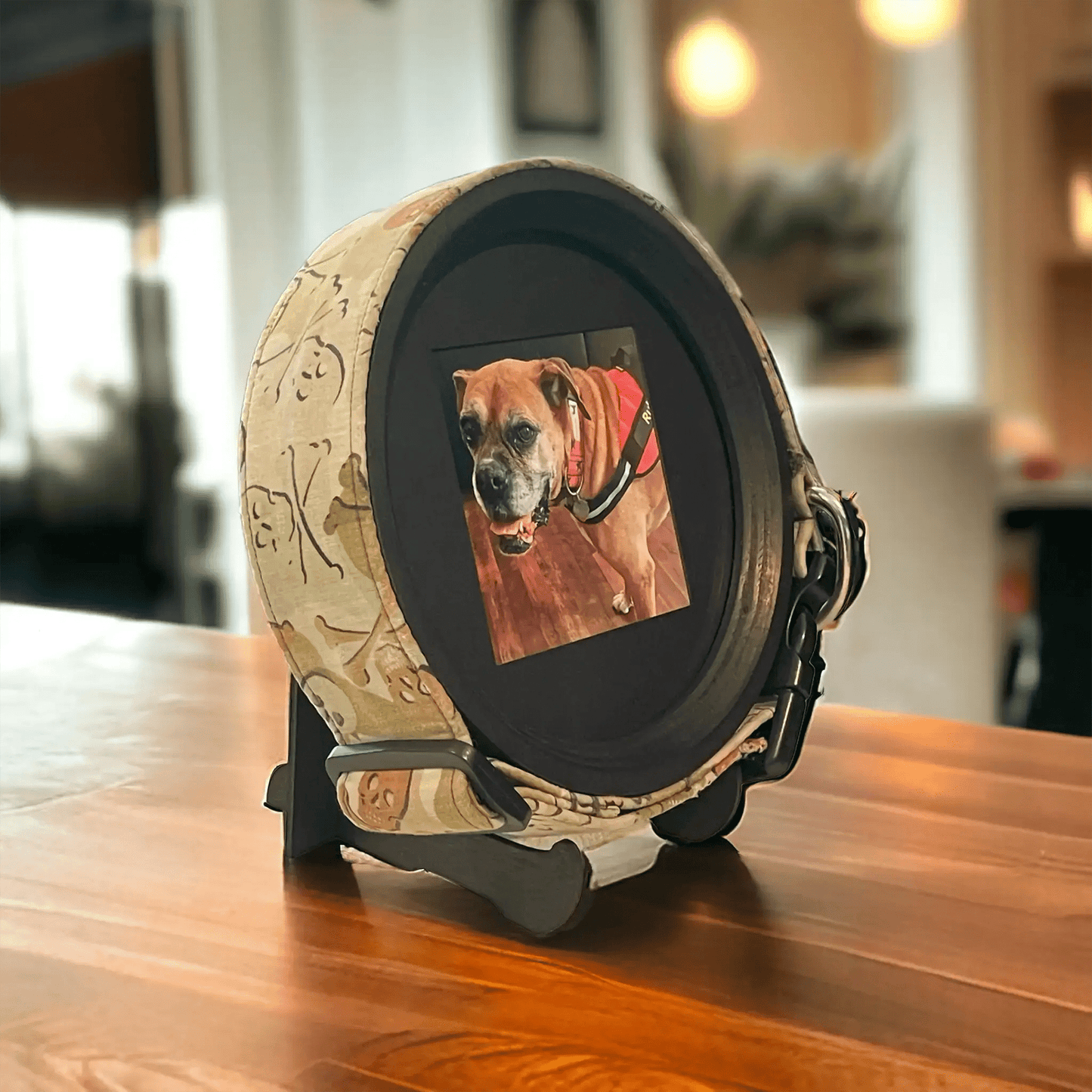 Extra Wide Dog Collar Picture Frame - Love, Baxter