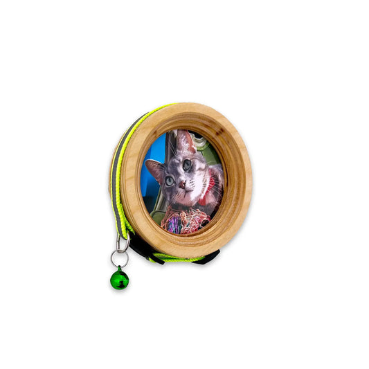 Cat Collar Picture Frame - "The Garfield"