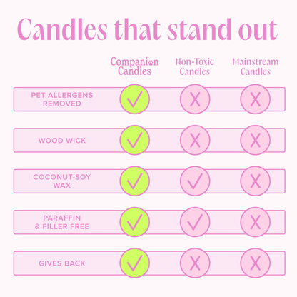 I Love You, I Love You! Pet - Safe Candle - Love, Baxter