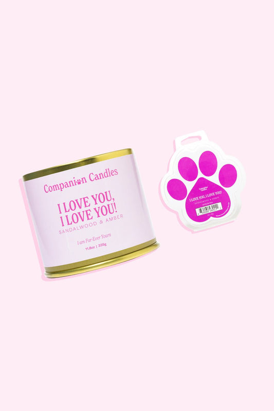 I Love You, I Love You! Pet - Safe Dream Candle Duo - Love, Baxter