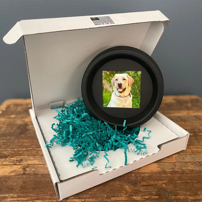 Large Dog Collar Picture Frame - "The Labrador"