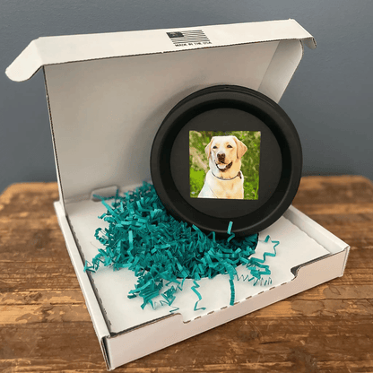 Large Dog Collar Picture Frame - "The Labrador" - Love, Baxter