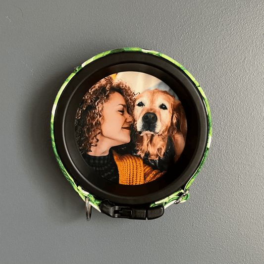 Large Dog Collar Picture Frame - "The Labrador" - Love, Baxter