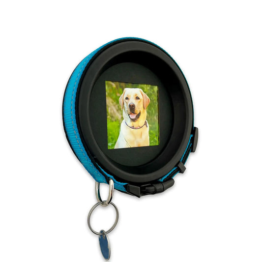 Large Dog Collar Picture Frame - "The Labrador" - Love, Baxter