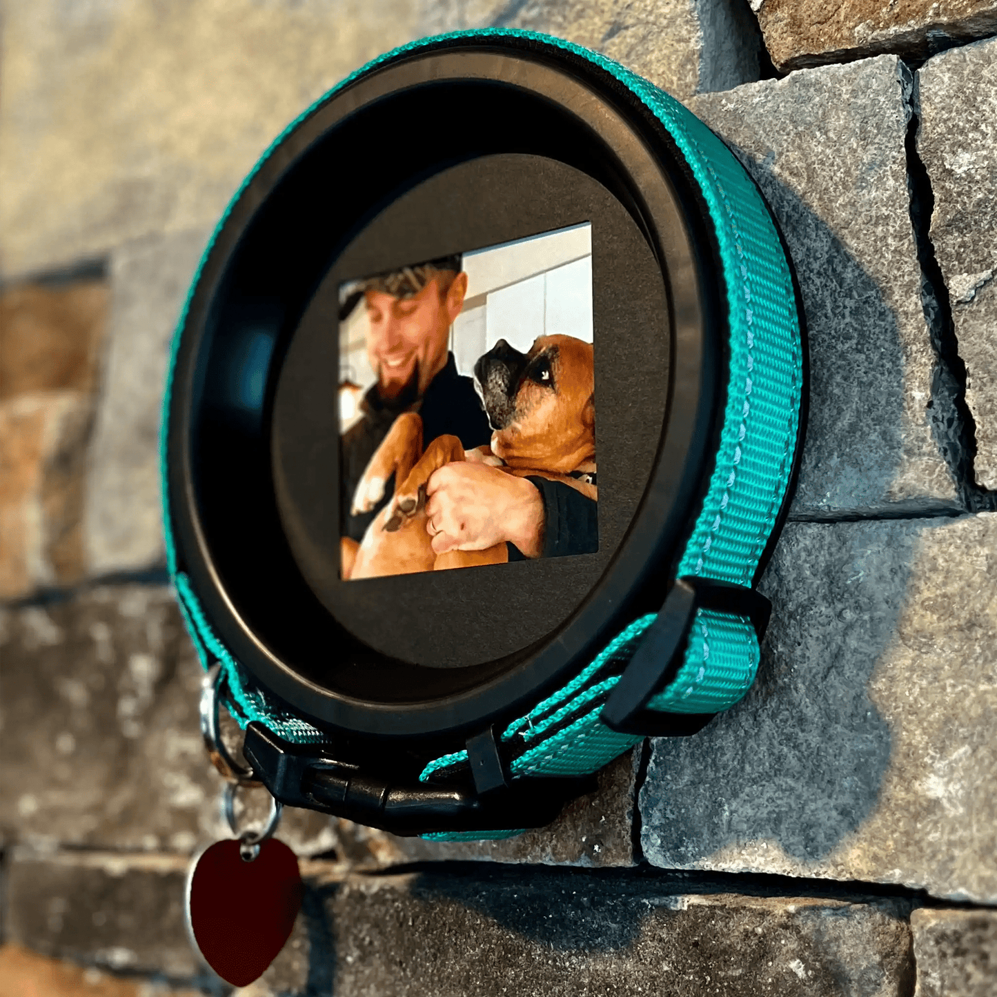 Large Dog Collar Picture Frame - "The Labrador" - Love, Baxter