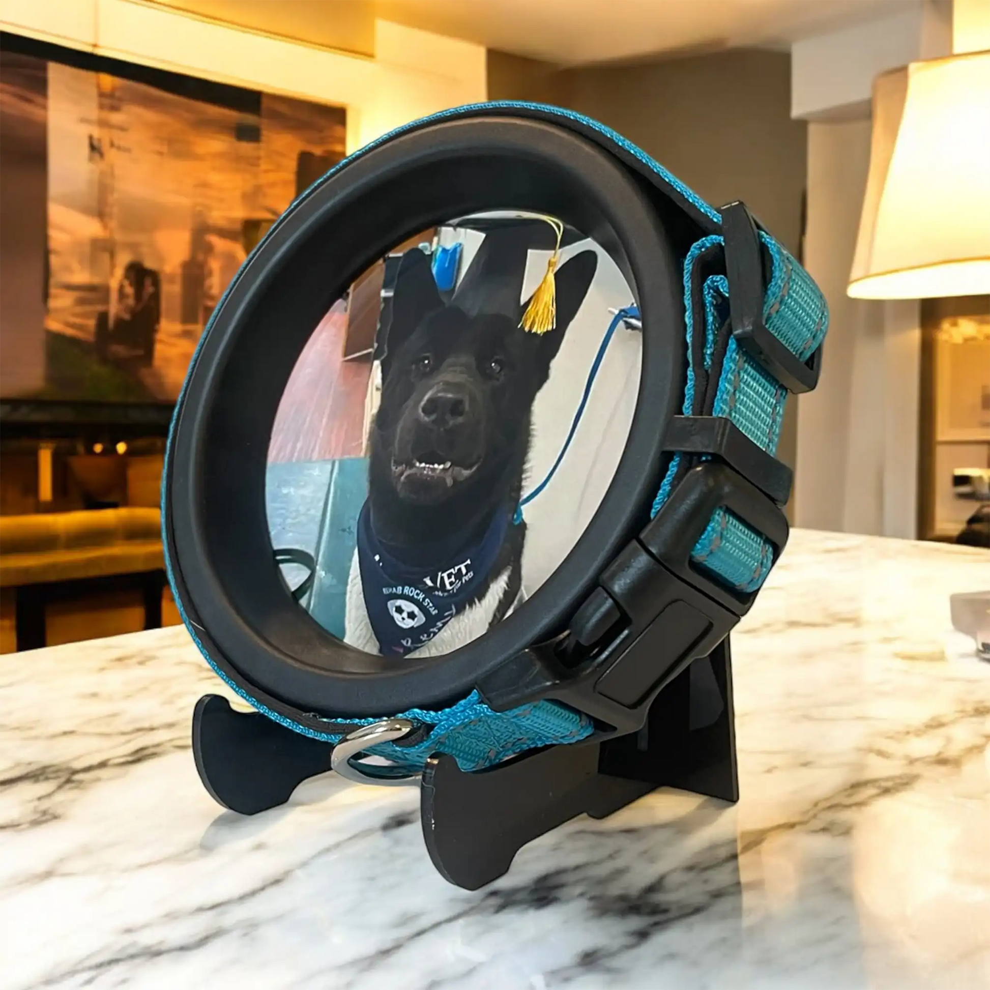 Large Dog Collar Picture Frame - "The Labrador" - Love, Baxter