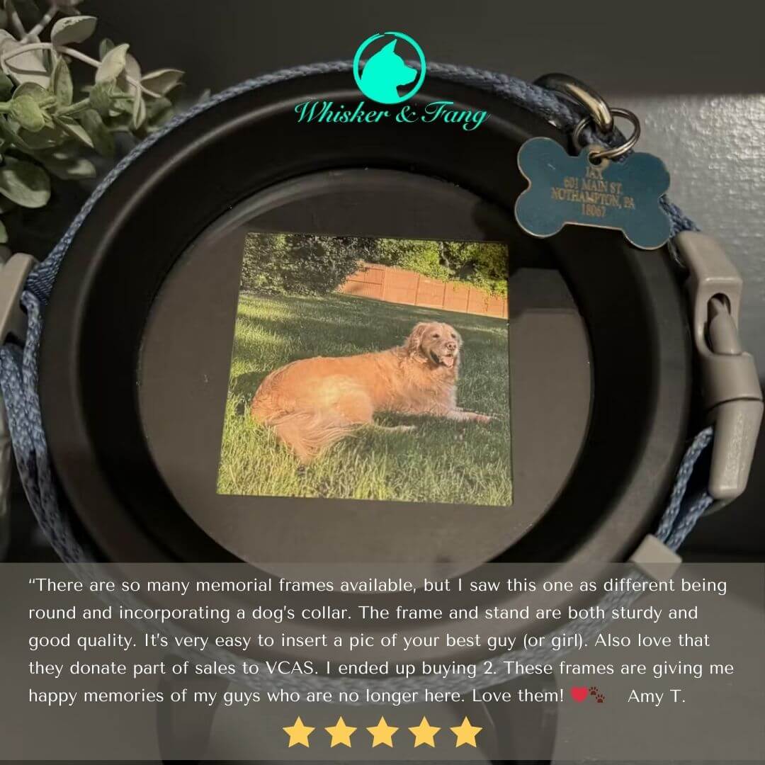 Large Dog Collar Picture Frame - "The Labrador" - Love, Baxter