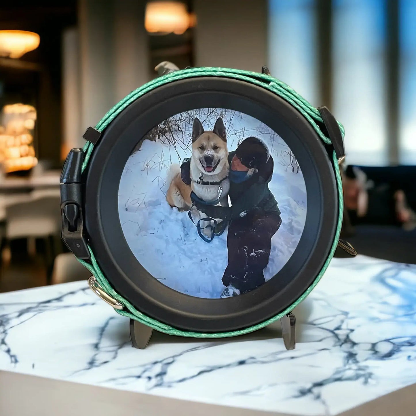 Large Dog Collar Picture Frame - "The Labrador" - Love, Baxter