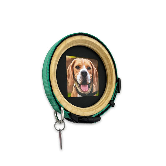Medium Dog Collar Picture Frame - "The Beagle" - Love, Baxter