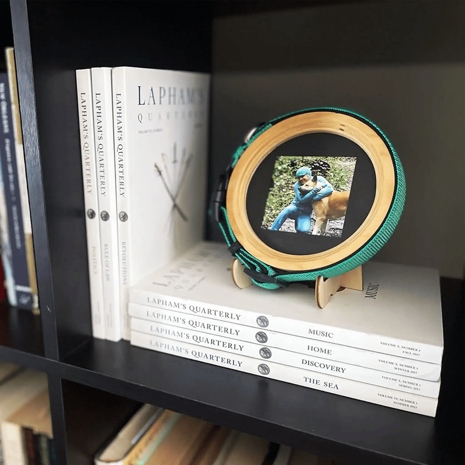Medium Dog Collar Picture Frame - "The Beagle" - Love, Baxter
