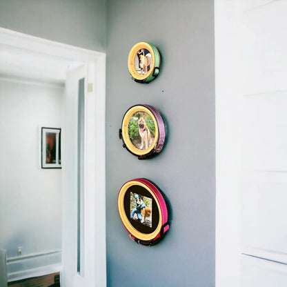 Medium Dog Collar Picture Frame - "The Beagle" - Love, Baxter
