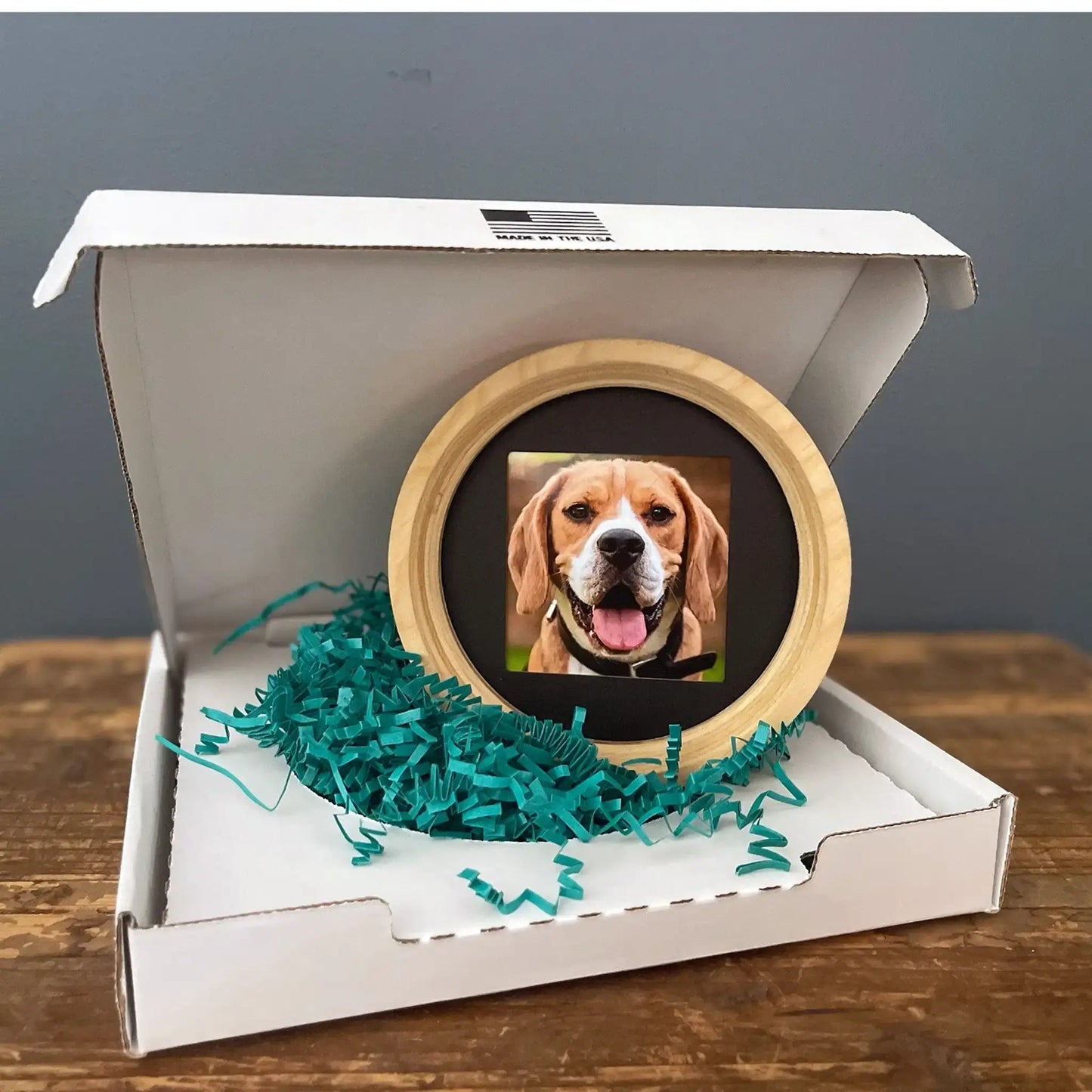 Medium Dog Collar Picture Frame - "The Beagle" - Love, Baxter
