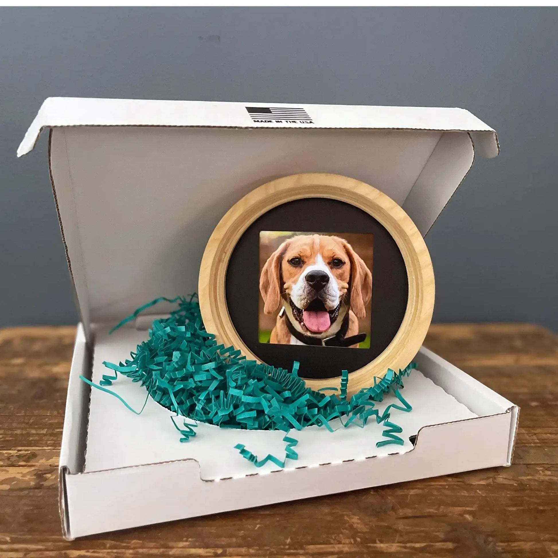 Medium Dog Collar Picture Frame - "The Beagle" - Love, Baxter