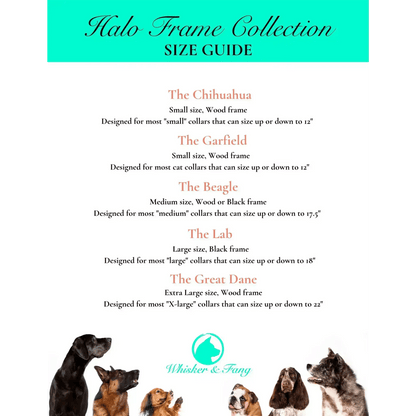 Medium Dog Collar Picture Frame - "The Beagle" - Love, Baxter