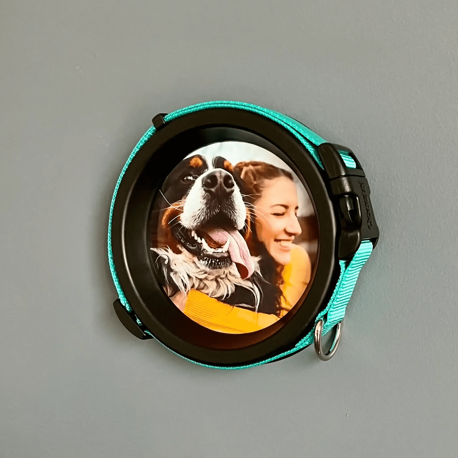Medium Dog Collar Resin Picture Frame - "The Beagle" - Love, Baxter