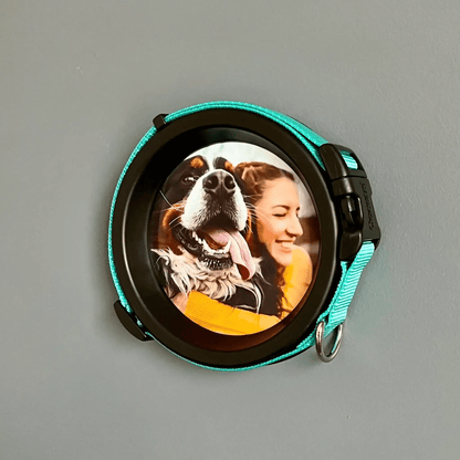 Medium Dog Collar Resin Picture Frame - "The Beagle" - Love, Baxter