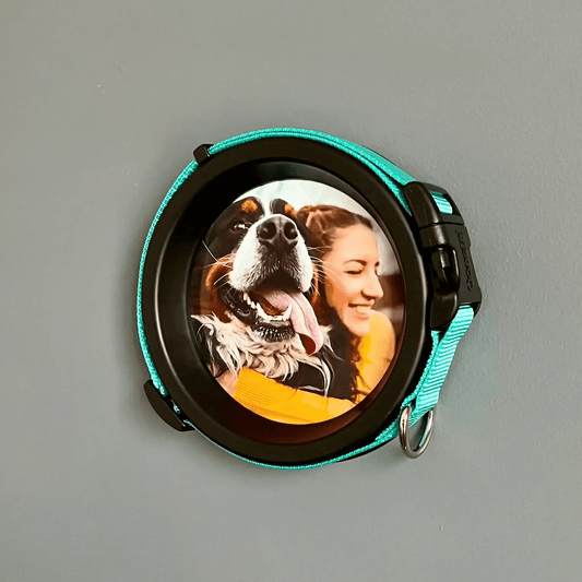 Medium Dog Collar Resin Picture Frame - "The Beagle" - Love, Baxter