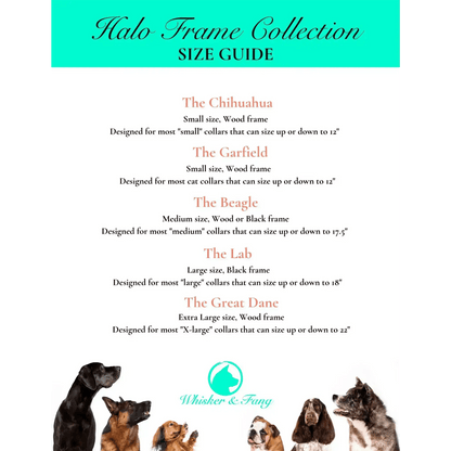 Medium Dog Collar Resin Picture Frame - "The Beagle" - Love, Baxter