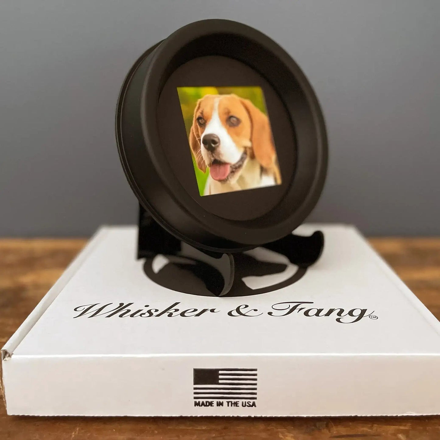 Medium Dog Collar Resin Picture Frame - "The Beagle" - Love, Baxter
