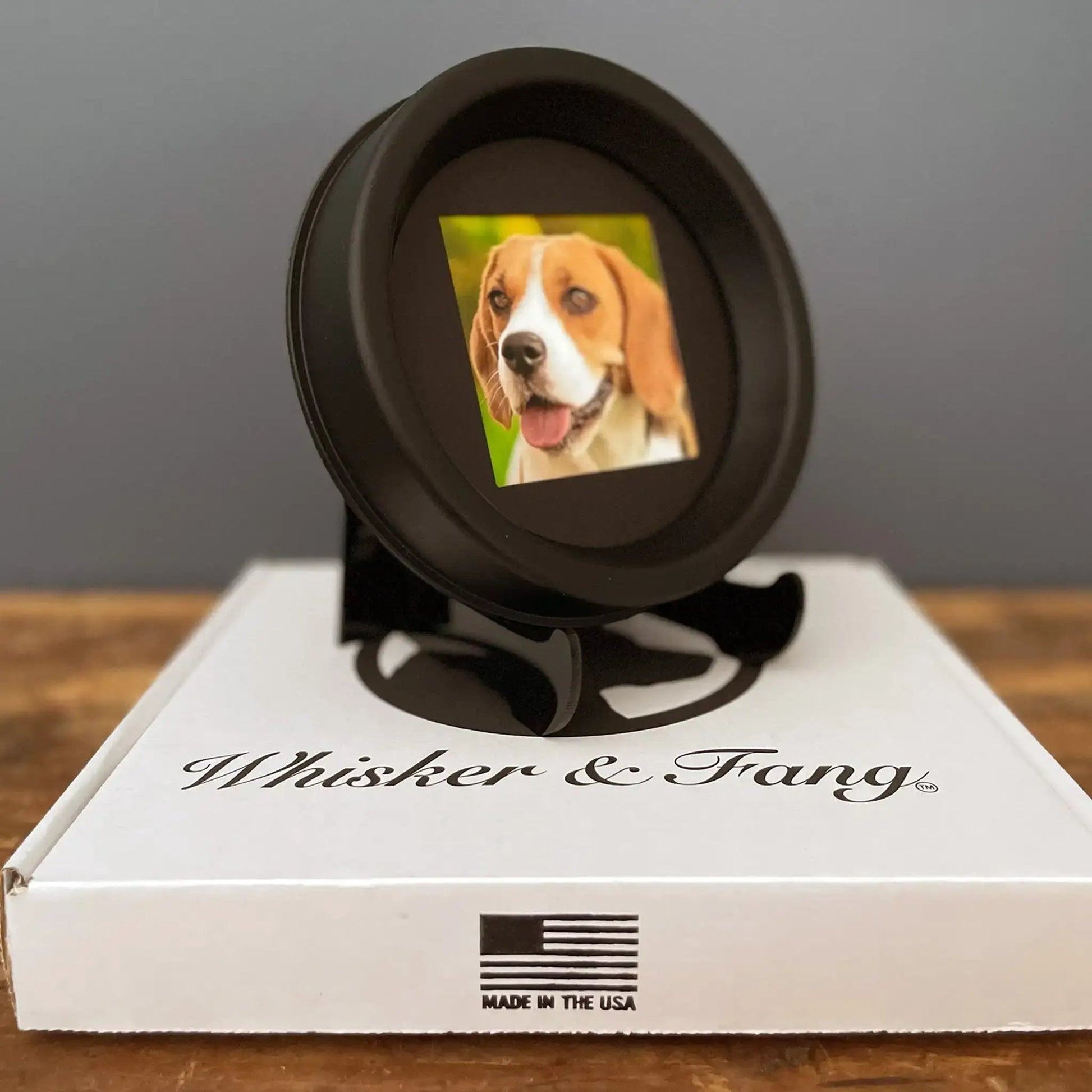 Medium Dog Collar Resin Picture Frame - "The Beagle" - Love, Baxter