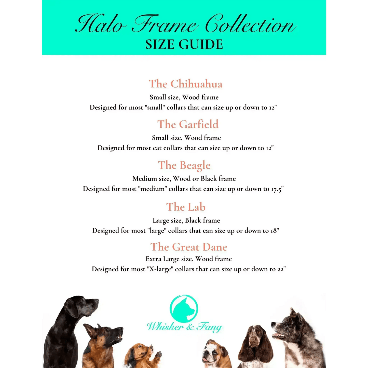 Medium Dog Collar Resin Picture Frame - "The Beagle" - Love, Baxter