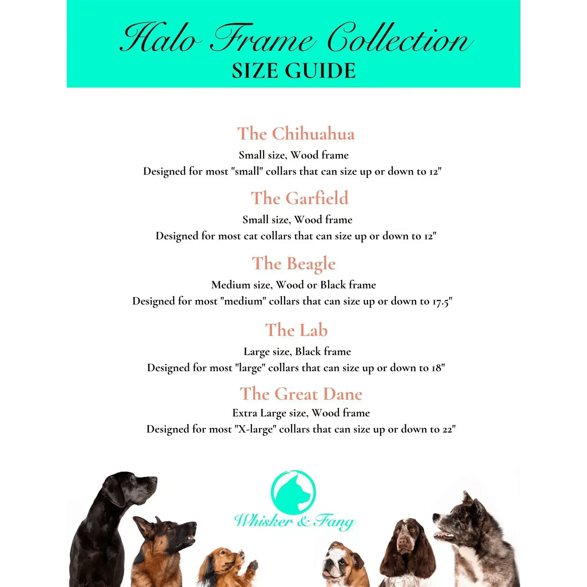 Medium Dog Collar Resin Picture Frame - "The Beagle" - Love, Baxter