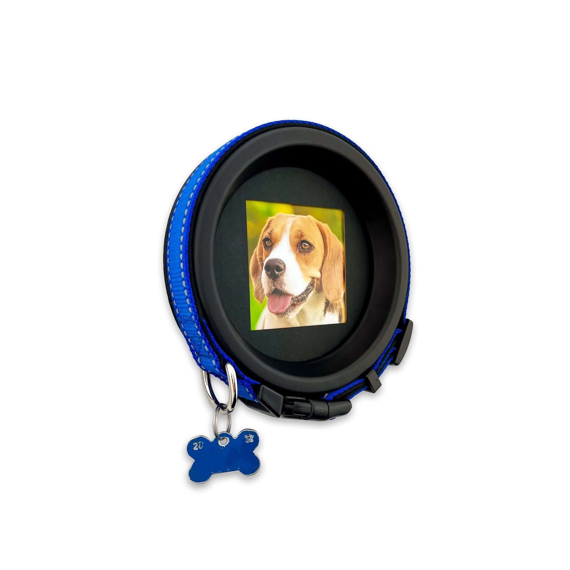 Medium Dog Collar Resin Picture Frame - "The Beagle" - Love, Baxter