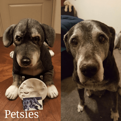 Memorial Petsies Forevers Stuffed Animal - Love, Baxter
