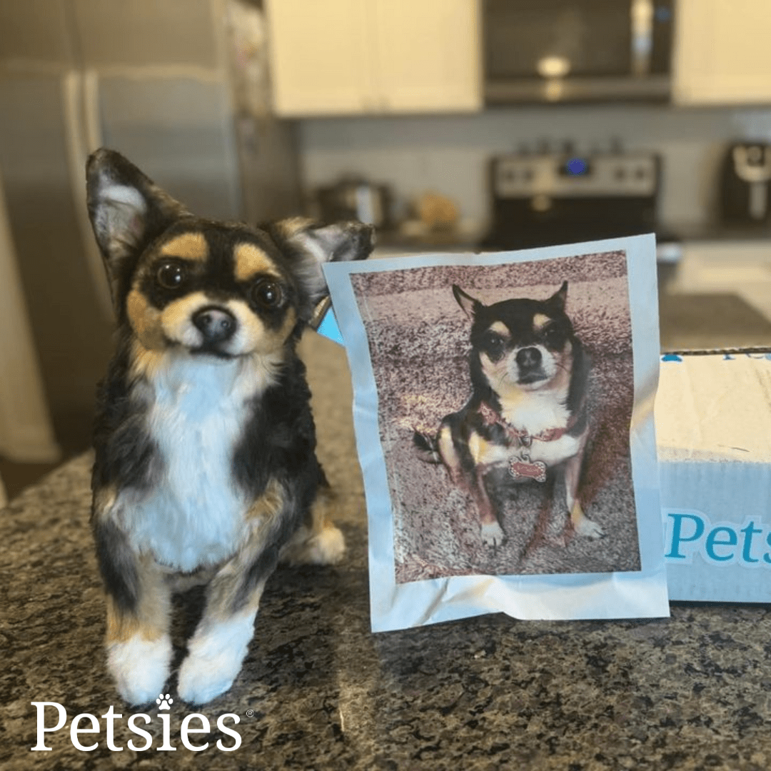Memorial Petsies Forevers Stuffed Animal - Love, Baxter