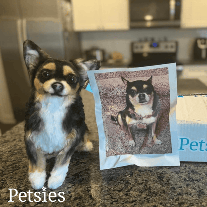 Memorial Petsies Forevers Stuffed Animal - Love, Baxter
