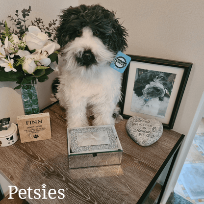 Memorial Petsies Forevers Stuffed Animal - Love, Baxter