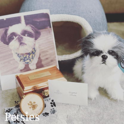 Memorial Petsies Forevers Stuffed Animal - Love, Baxter