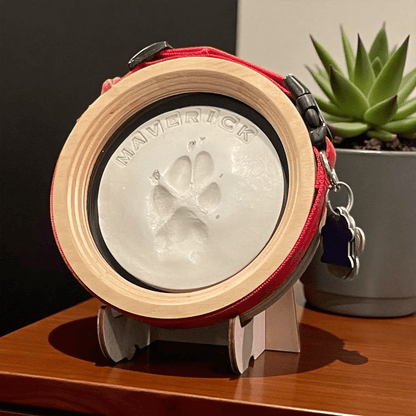 Paw Print & Collar Pet Memorial Frame Kit - Love, Baxter