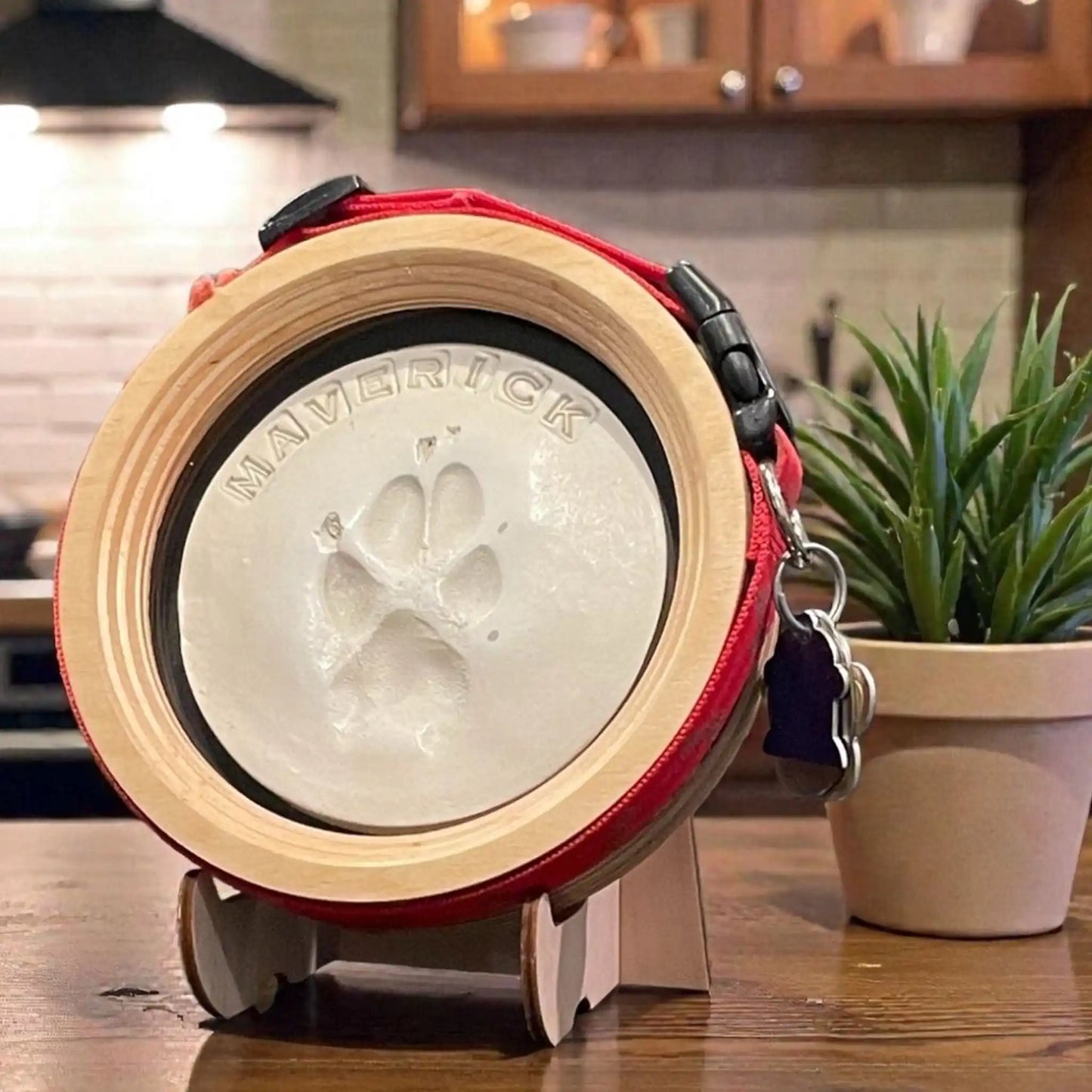 Paw Print & Collar Pet Memorial Frame Kit