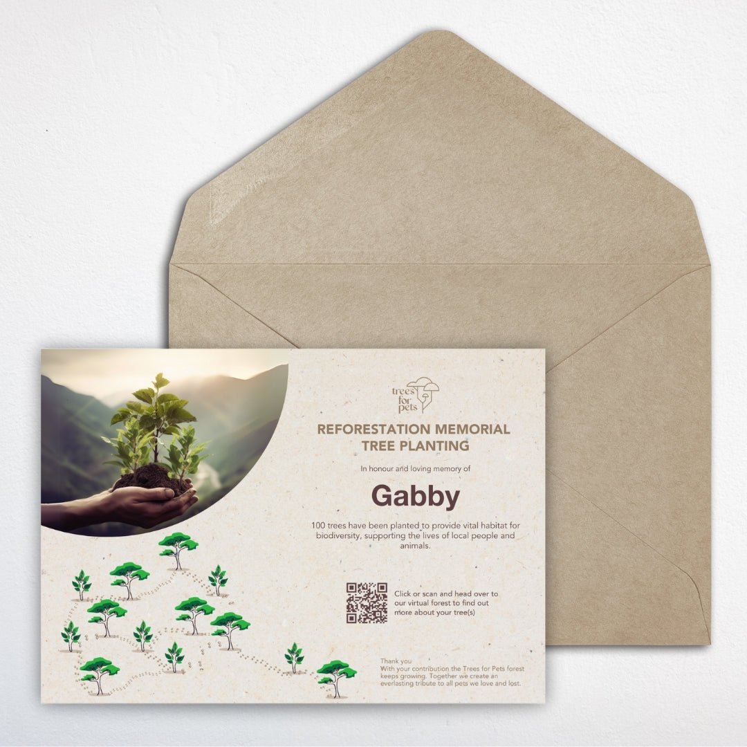 Pet Memorial Tree Grove (100 Trees) - Love, Baxter