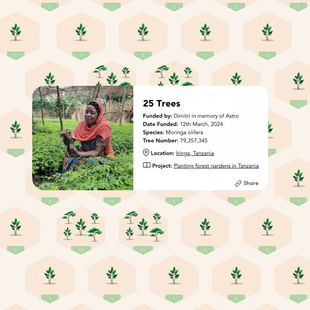 Pet Memorial Tree Grove (25 Trees) - Love, Baxter