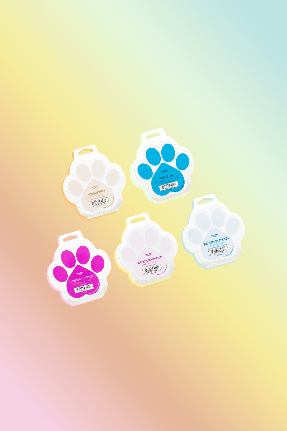 Pet - Safe Rainbow Wax Melts - 5 Pack - Love, Baxter