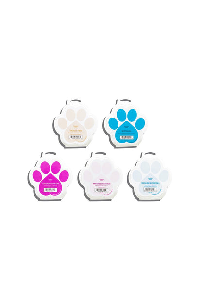 Pet - Safe Rainbow Wax Melts - 5 Pack - Love, Baxter