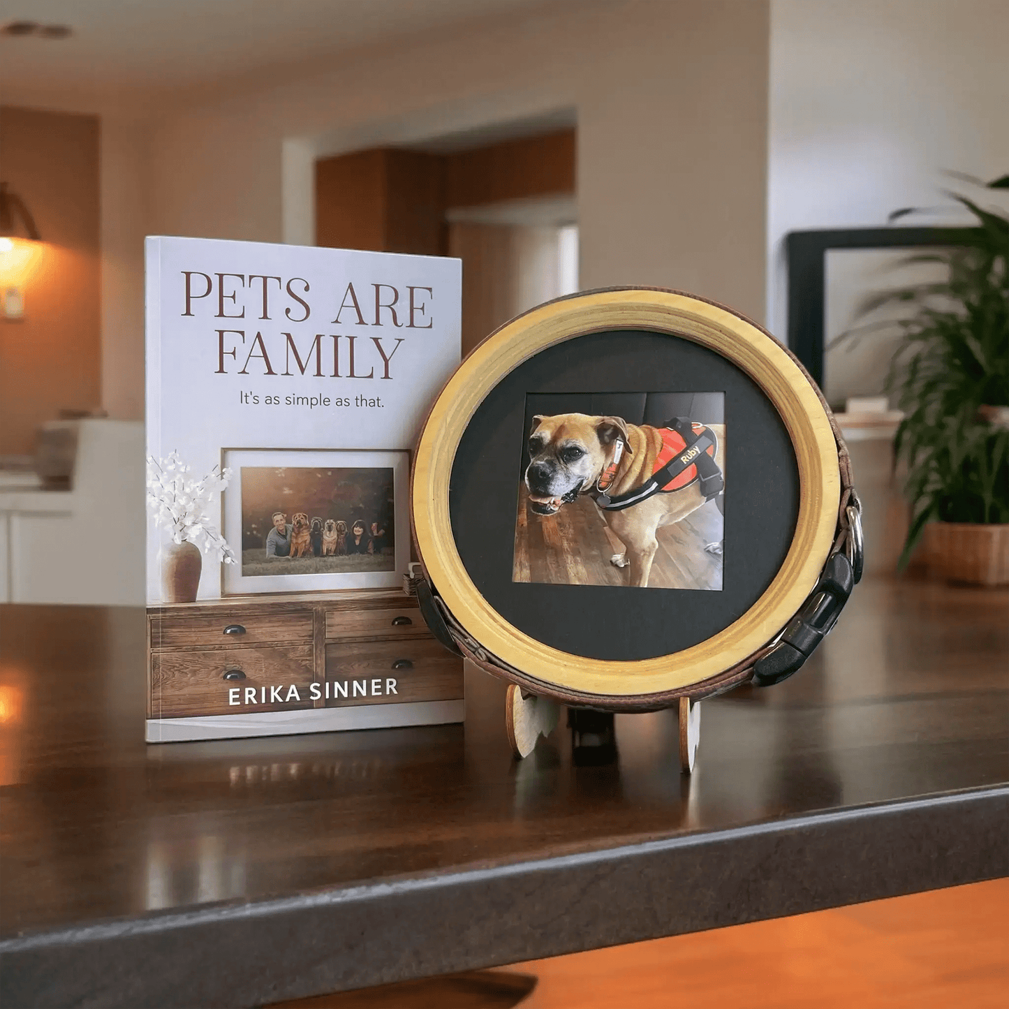 Pets Are Family Book & Collar Picture Frame Bundle - Love, Baxter
