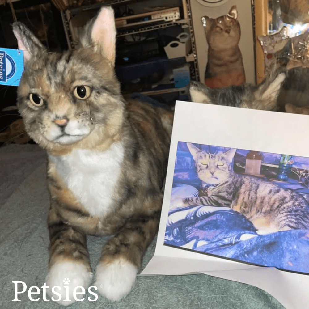 Petsies Forevers Comfort Stuffed Animal - Love, Baxter