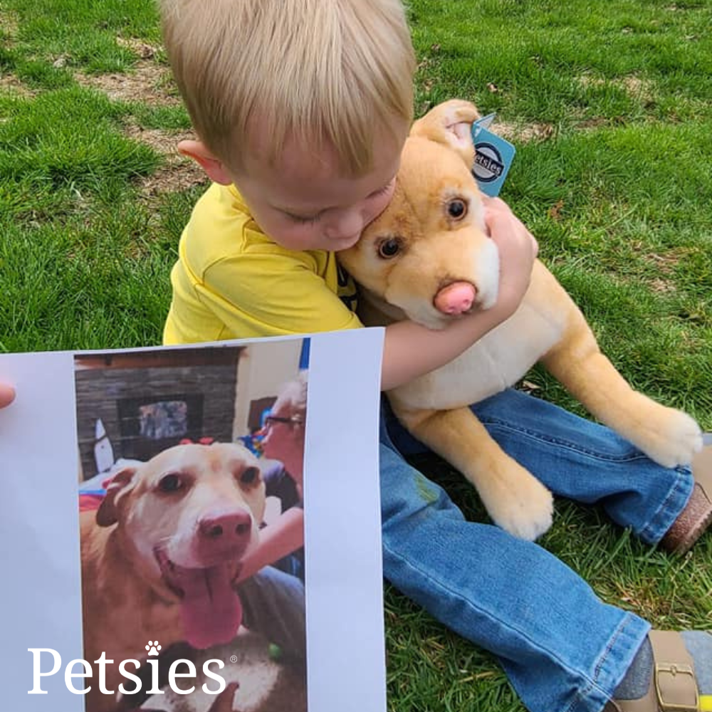 Petsies Forevers Comfort Stuffed Animal - Love, Baxter