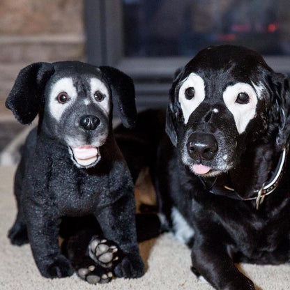 Petsies Forevers Comfort Stuffed Animal - Love, Baxter