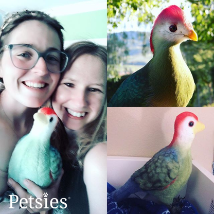 Petsies Forevers Original Stuffed Animal - Love, Baxter