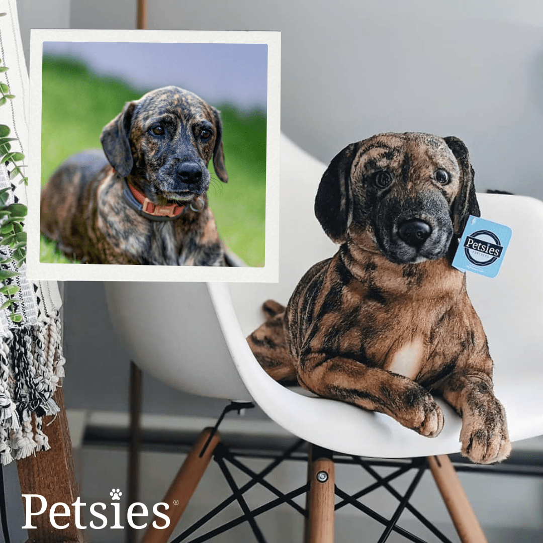 Petsies Forevers Original Stuffed Animal - Love, Baxter