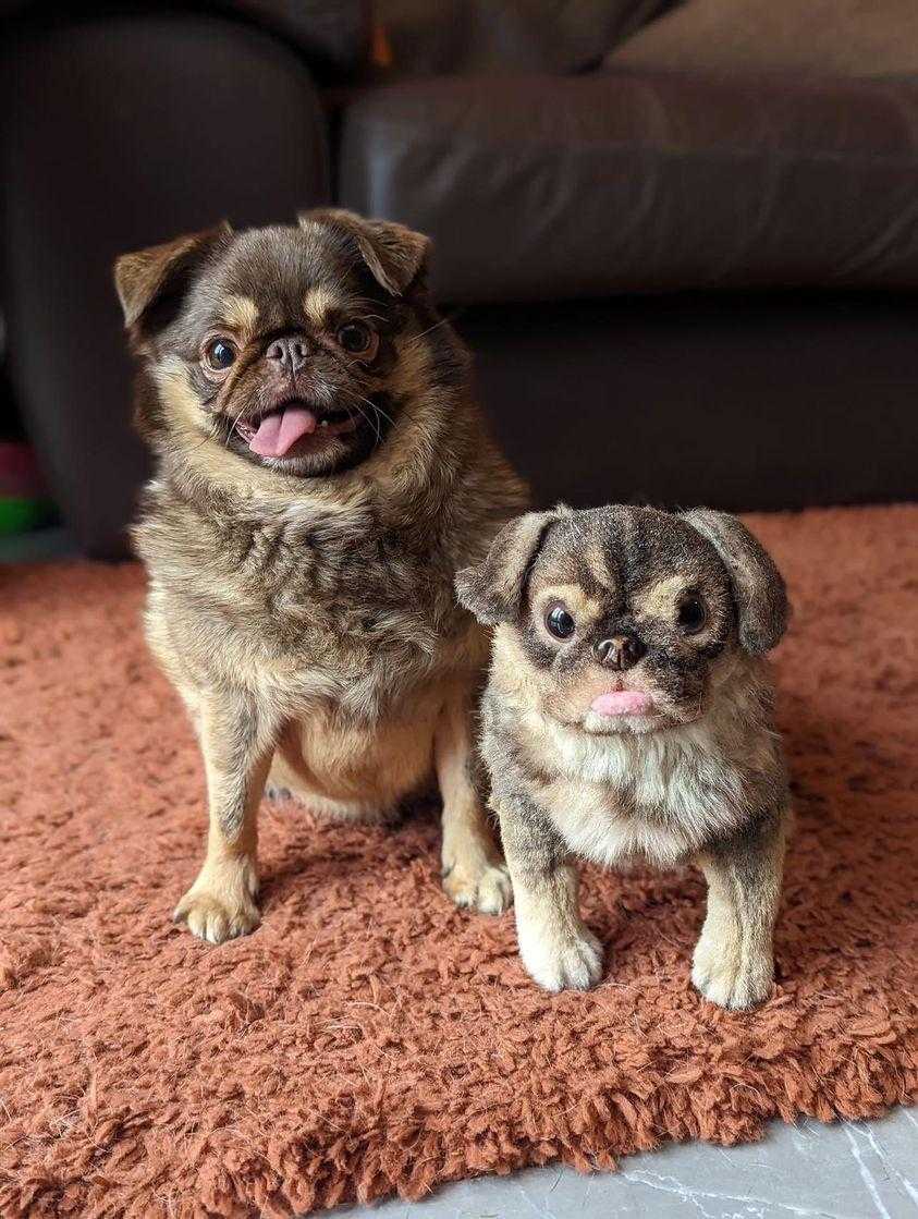 Petsies Forevers Original Stuffed Animal - Love, Baxter