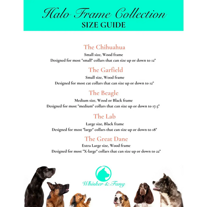 Small Dog Collar Picture Frame - "The Chihuahua"