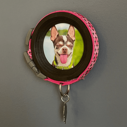 Small Dog Collar Picture Frame - "The Chihuahua" - Love, Baxter