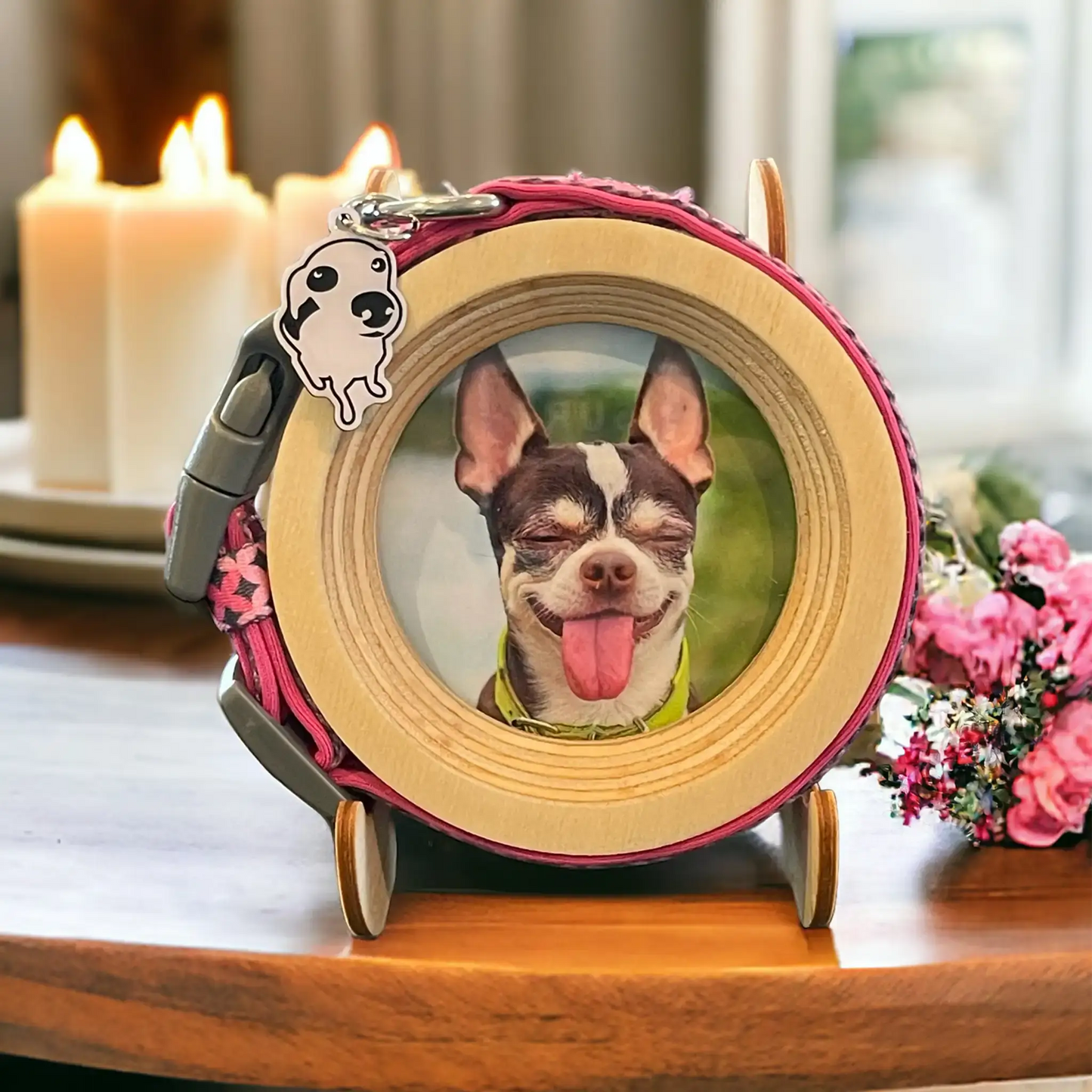 Small Dog Collar Picture Frame - "The Chihuahua" - Love, Baxter