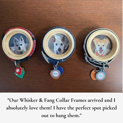 Small Dog Collar Picture Frame - "The Chihuahua" - Love, Baxter
