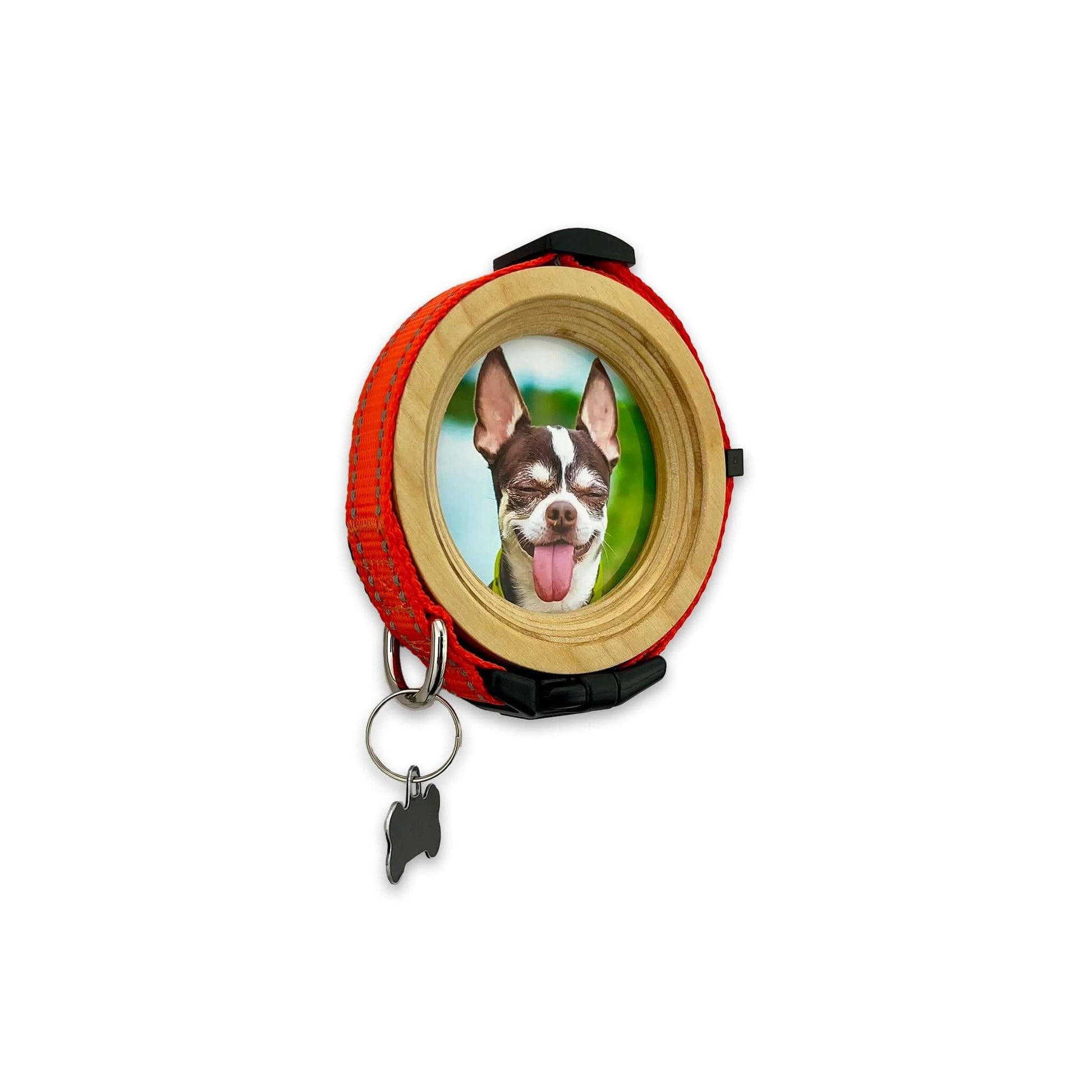 Small Dog Collar Picture Frame - "The Chihuahua" - Love, Baxter